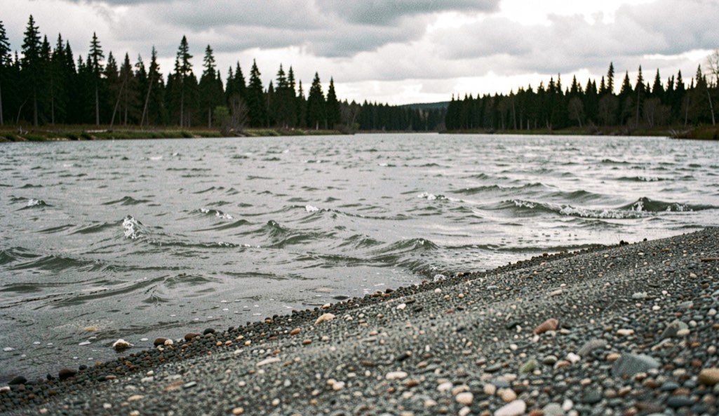 A wide grey river seen from a low gravel bank, riffled water, a line of dark spruce on the far side under heavy cloud